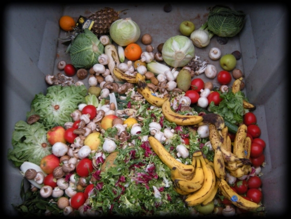 Desperdício de Alimentos