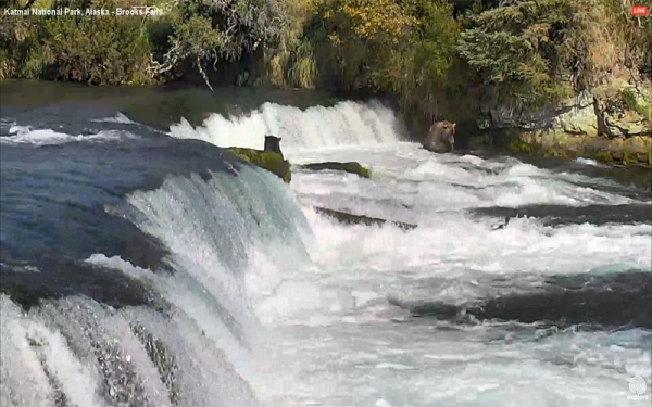 Katmai National Park, Alaska - Brooks Falls