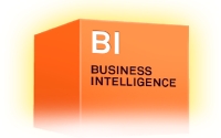 Bussines Intelligence